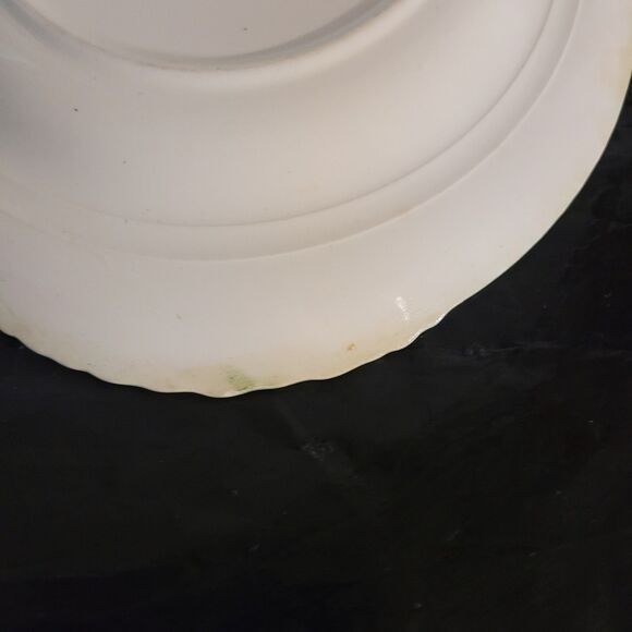 Homer Laughlin Nautilus Lady platter oval green/wht 11.625 in E51N8 - Picture 10 of 11